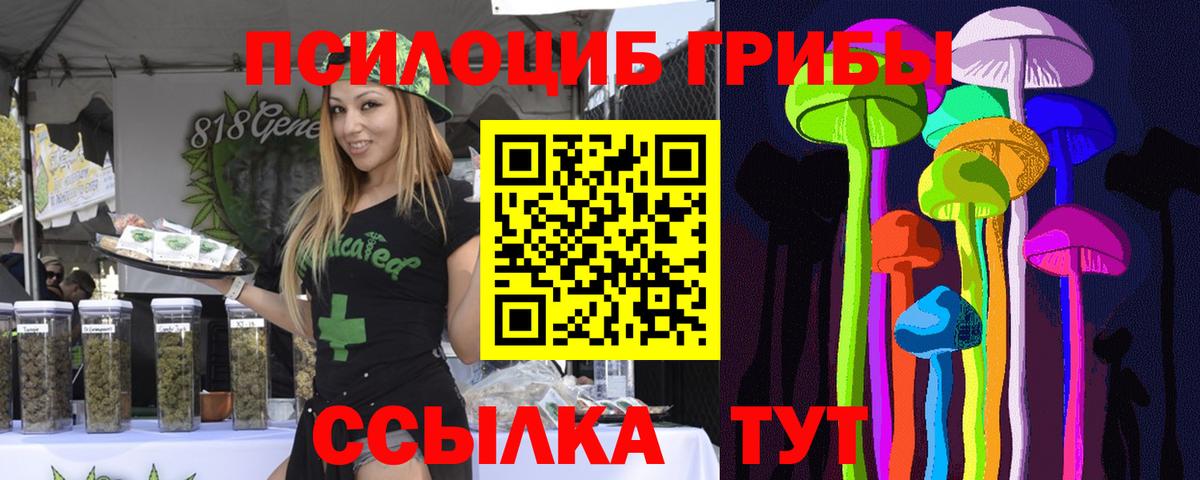 Псилоцибиновые грибы Cubensis  Вход с VPN  Уварово 